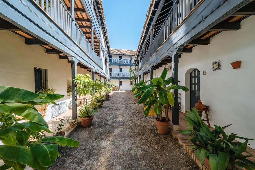 New Apartment In Traditional Building Of The XVI Century Sevilla Eksteriør bilde